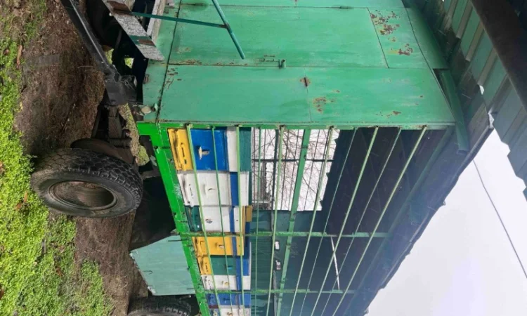 Продам свою пасеку, пчелосемьи, с вагончиком - фото № 6