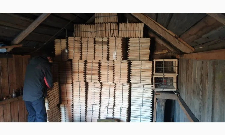 Продаж вуликів, рамок, бджіл, матки - фото № 13