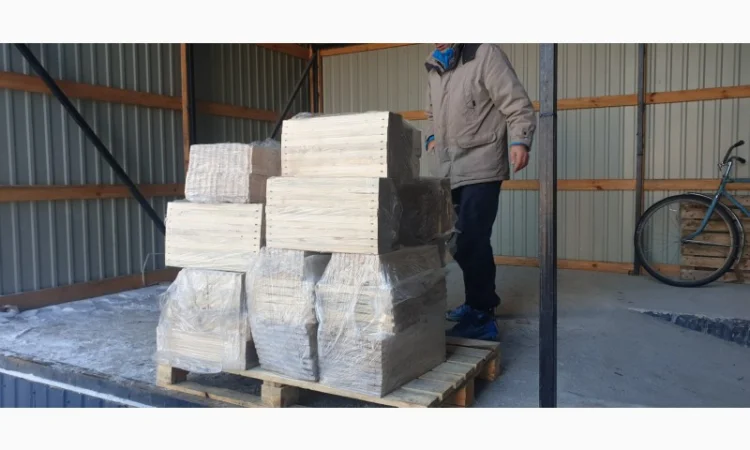 Продаж вуликів, рамок, бджіл, матки - фото № 12