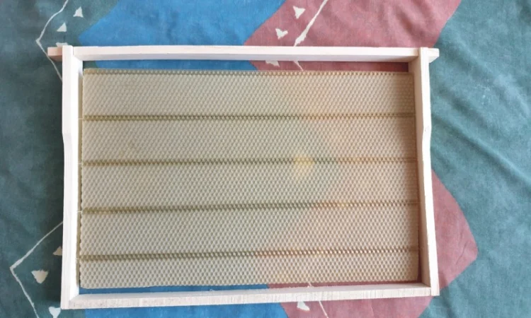 Продаж вуликів, рамок, бджіл, матки - фото № 8