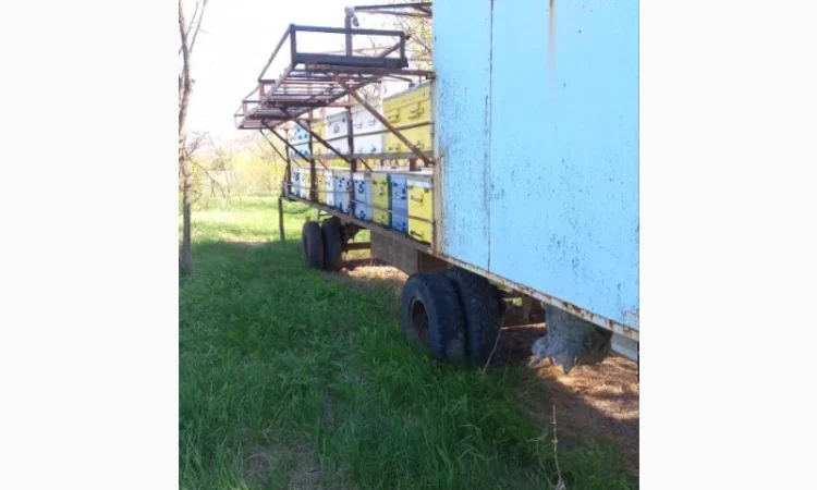 Продаю пчелоприцеп, пасеку! Прицеп для пчел с семьями - фото № 1