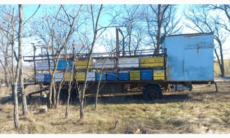 Продаю пчелоприцеп, пасеку! Прицеп для пчел с семьями - фото № 3