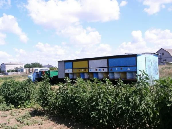 Продам павільйон Колосок - фото № 2