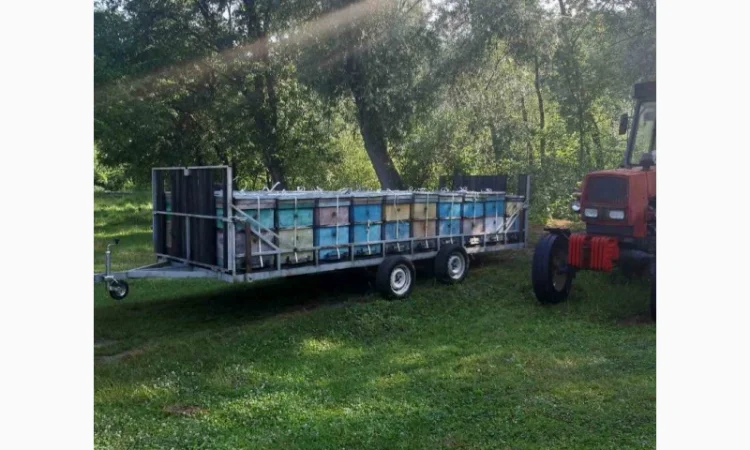 Продам пасіку - фото № 2