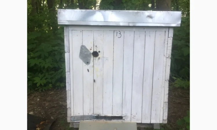 Продам пасіку - фото № 8