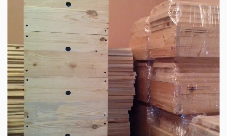 Вулик Дадан Корпусний - фото № 1