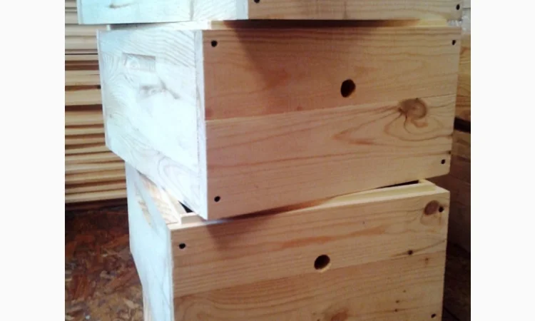 Вулик Дадан Корпусний - фото № 2