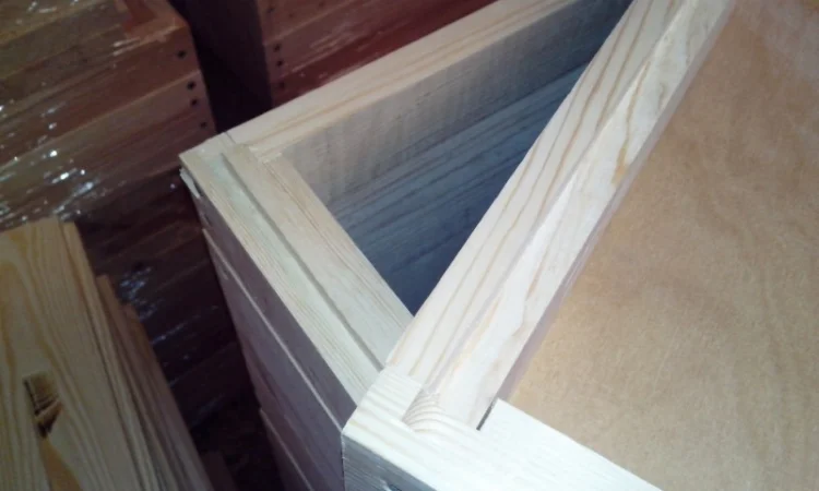 Вулик Дадан Корпусний - фото № 7