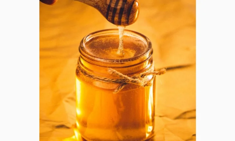 Закупівля меду в Харкові - фото № 1