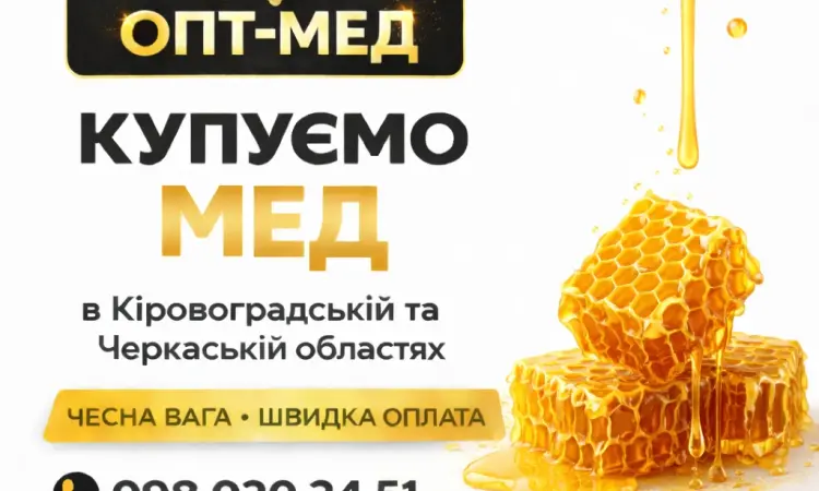 Купуємо МЕД ОПТОМ в Кіровоградській - фото № 1
