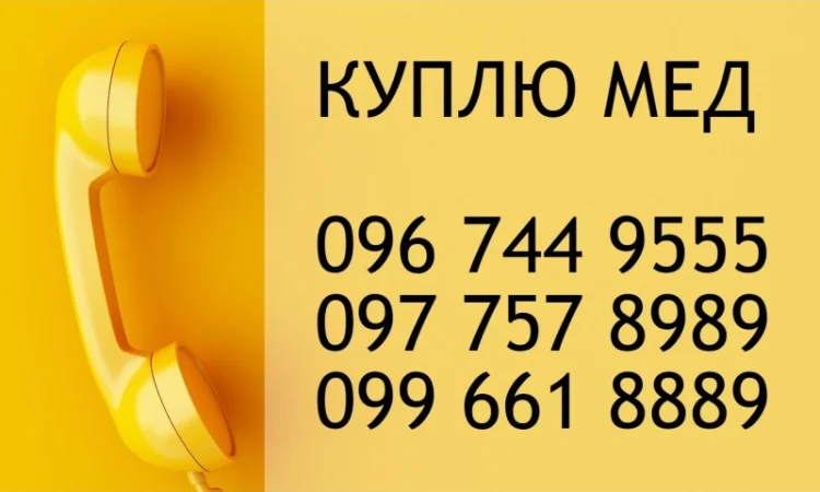 ЧЕРКАСЬКА область – закуповуємо якісний мед оптом від 300 кг - фото № 1