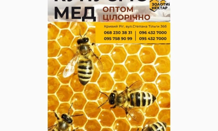 Купуємо мед оптом - фото № 1