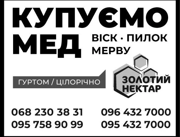 Куплю мёд оптом без антибиотиков - фото № 1