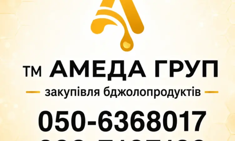 Купаем мед подсолнечника оптом АМЕДА ГРУП - фото № 1
