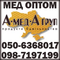 Закупка меда оптом у пчеловодов АМЕДА ГРУП - фото № 1