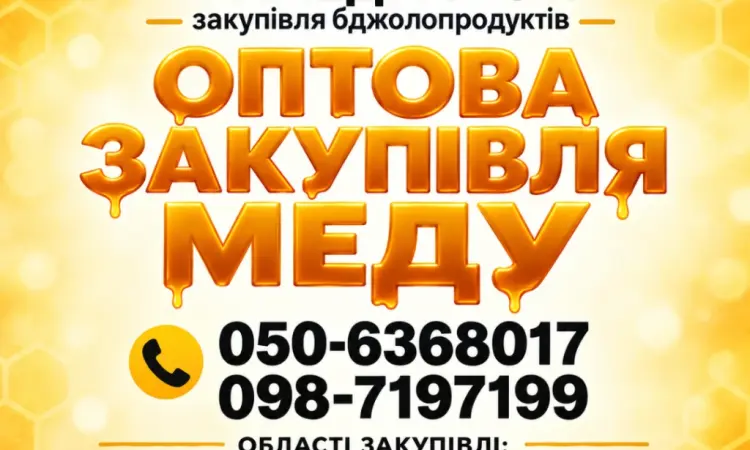 Закупка меда оптом у пчеловодов АМЕДА ГРУП - фото № 1