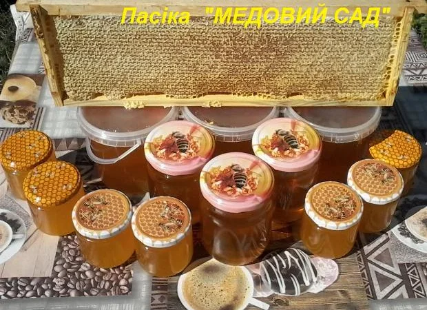 Натуральний мед від пасіки «Медовий сад» - фото № 2