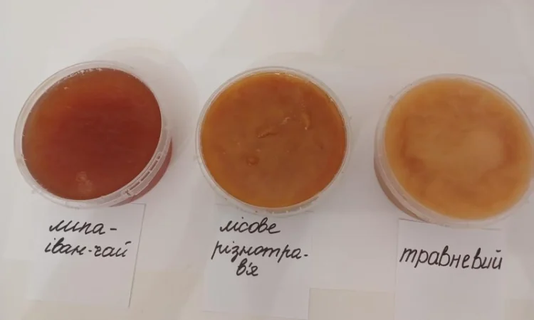 Мед из лесной пасеки в продаже - фото № 2