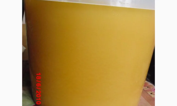 Продам натуральний мед зі своєї пасіки – 180 грн - фото № 1