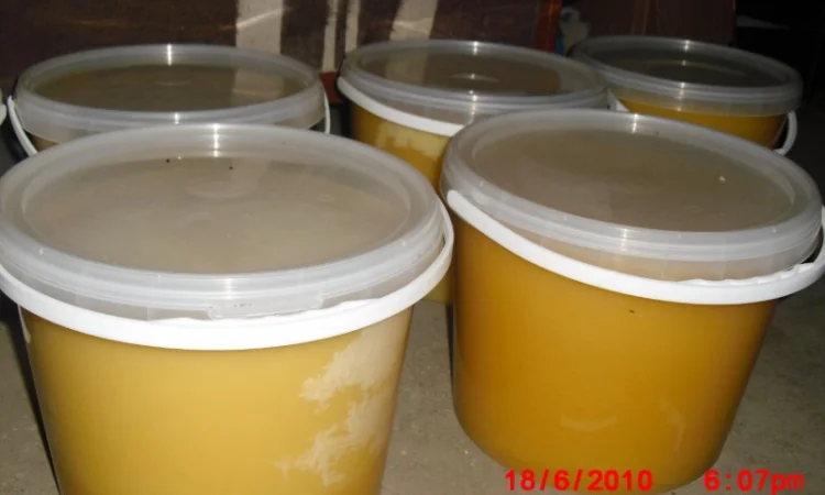 Продам натуральний мед зі своєї пасіки – 180 грн - фото № 5