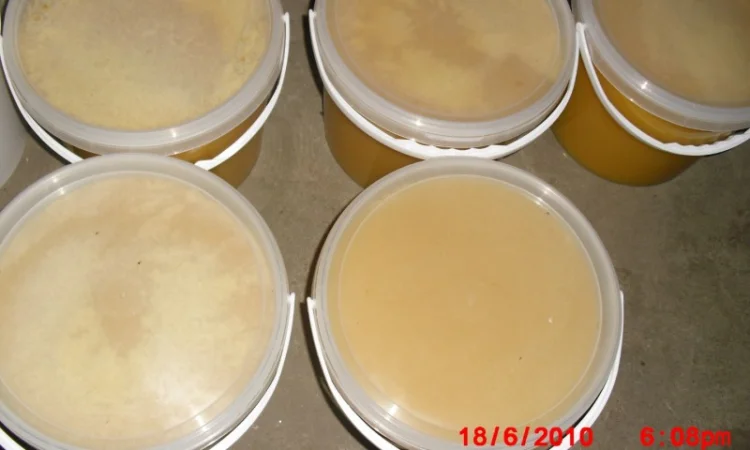 Продам натуральний мед зі своєї пасіки – 180 грн - фото № 2