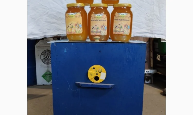 Продам натуральний мед зі своєї пасіки – 180 грн - фото № 6