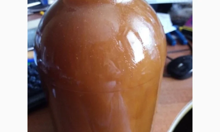 Мед диких бджіл (колодочний, бортьовий) - фото № 1