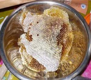 Мед диких бджіл (колодочний, бортьовий) - фото № 2