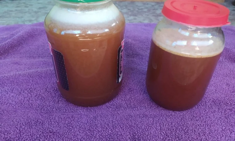 Мед бортевий, дикий, з колод - фото № 7