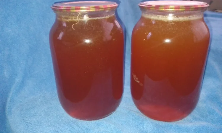 Мед диких бджіл – бортевий мед - фото № 4