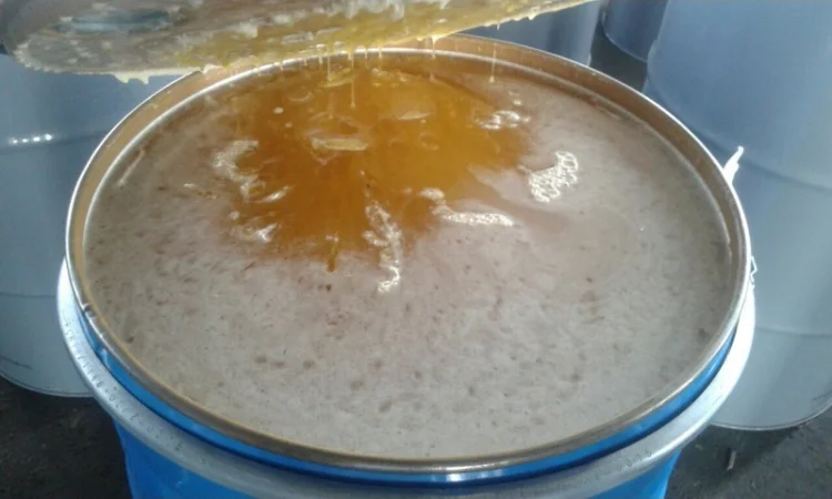 Продажа меда оптом от производителей и поставщиков от 20 тонн - фото № 1