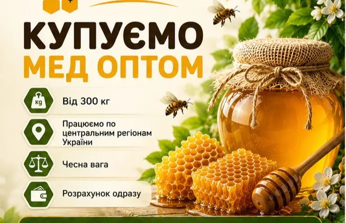 Купаем мед от 300 кг. ОПТ-МЕД - фото № 1