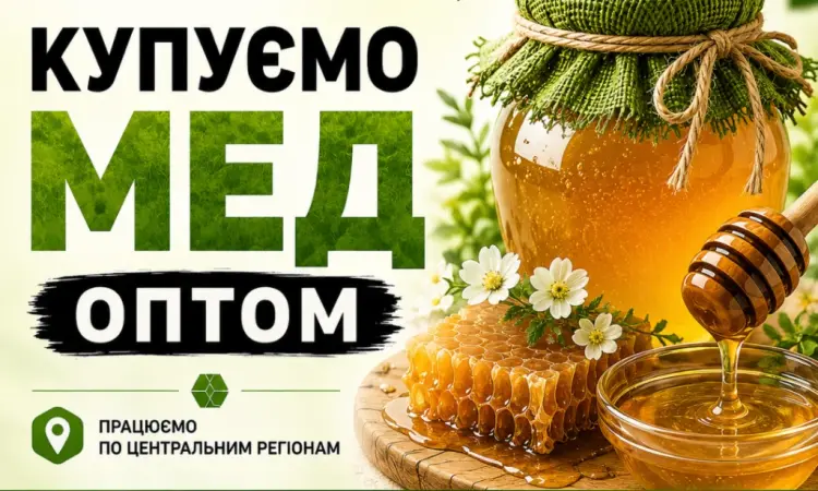 ОПТ-МЕД Закупка меда в Черкасской области - фото № 1