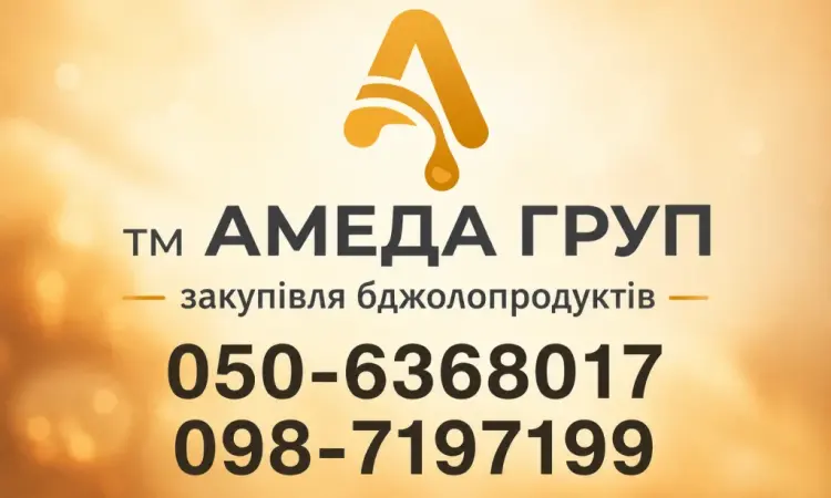 Закупка меда у пасечников Кировоградская обл АМЕДА ГРУП - фото № 1