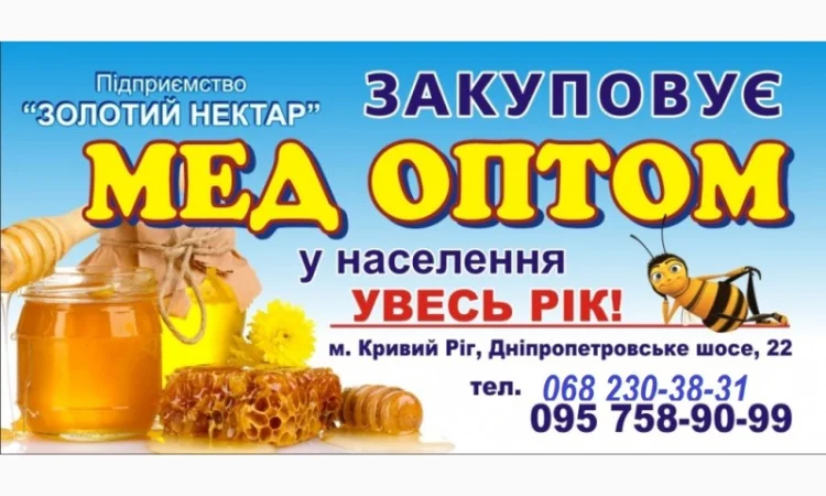 Закупівля меду оптом - фото № 1