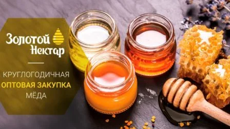 Закупка меда оптом без антибиотиков - фото № 2