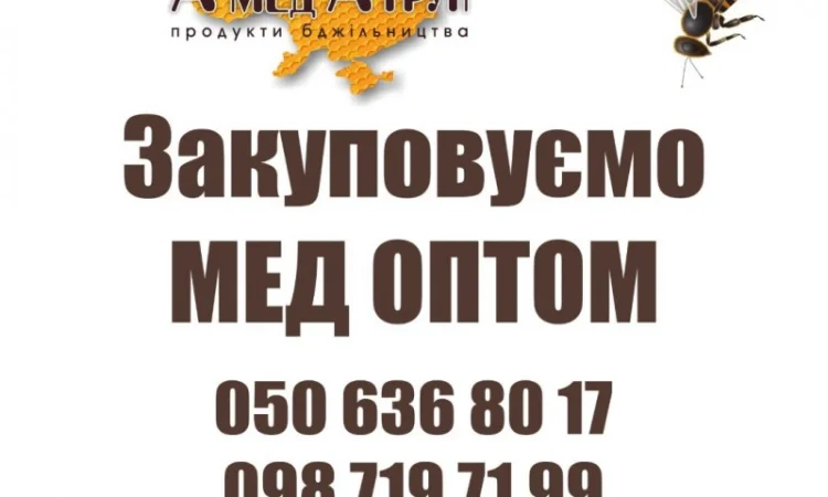 Закупаем мед оптом АМЕДА ГРУП Кропивницкий - фото № 1