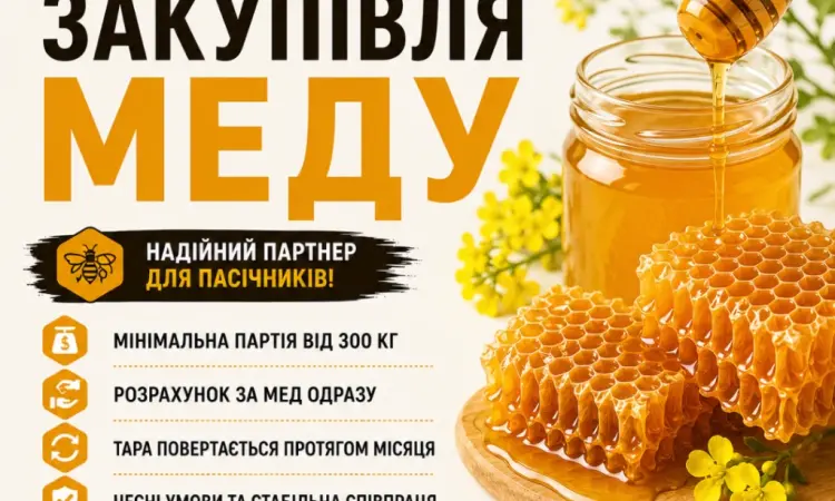 Закуповуємо мед оптом АМЕДА ГРУП Кіровградська - фото № 1