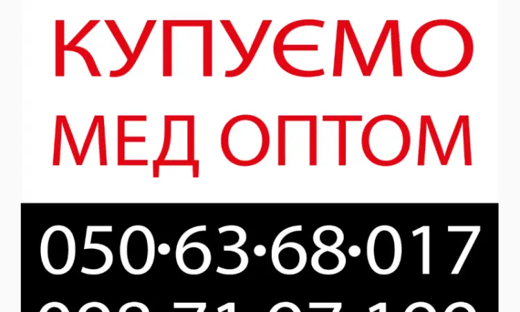 Оптова закупівля меду соняшникового у населення АМЕДА ГРУП - фото № 1