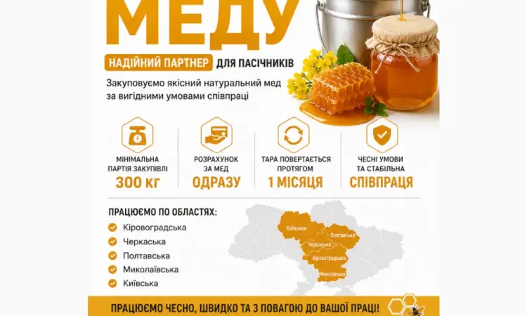Оптовая закупка меда подсолнечного у населения АМЕДА ГРУП - фото № 1