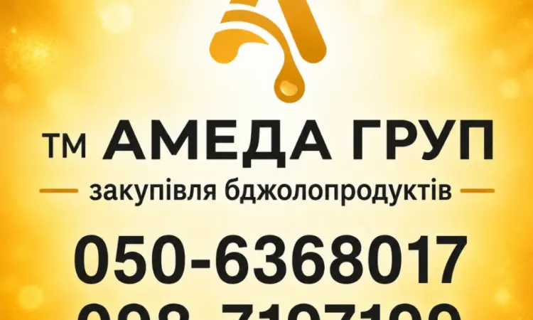 Купаем мед оптом у населения от 400 кг АМЕДА ГРУП - фото № 1