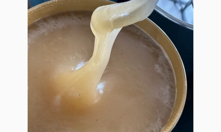 Куплю мед оптом от 10 тонн - фото № 1