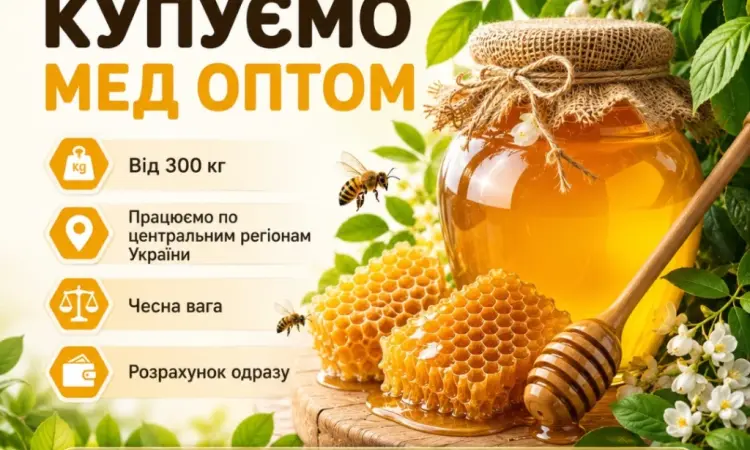 Оптовая закупка меда 300 кг. - фото № 1