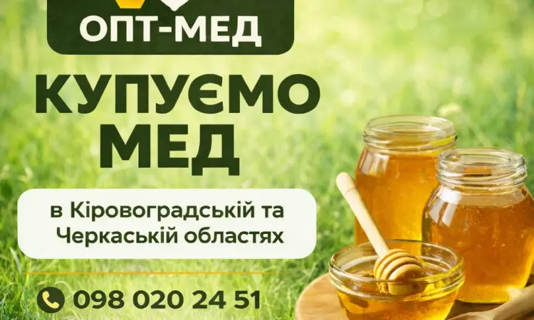 Купуємо МЕД соняшниковий в Кіровоградській обл - фото № 1