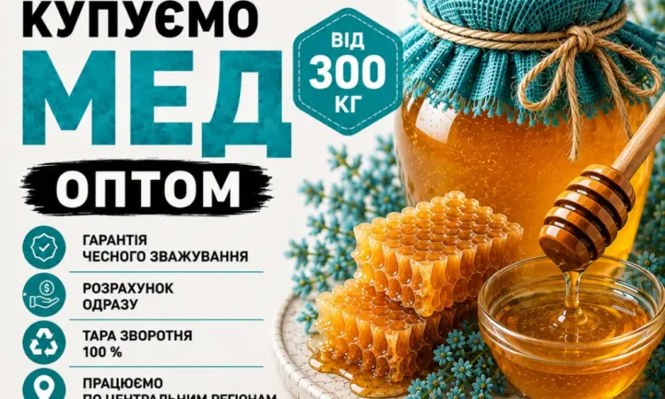 Купаем МЕД подсолнечниковый в Кировоградской области - фото № 1