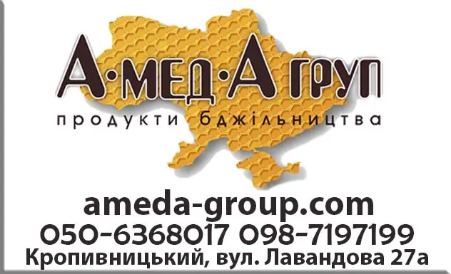 Купуємо мед соняха АМЕДА ГРУП - фото № 1