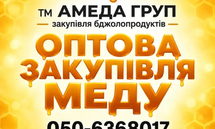 Купаем мед подсолнечника АМЕДА ГРУП - фото № 1