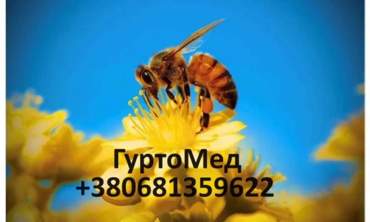 Постійно закуповуємо чистий мед - фото № 3