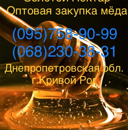 Закупка натурального меда оптом от компании «Золотой Нектар» - фото № 1