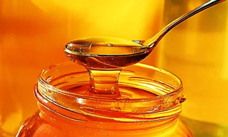 Закупаем мед оптом без антибиотиков - фото № 1